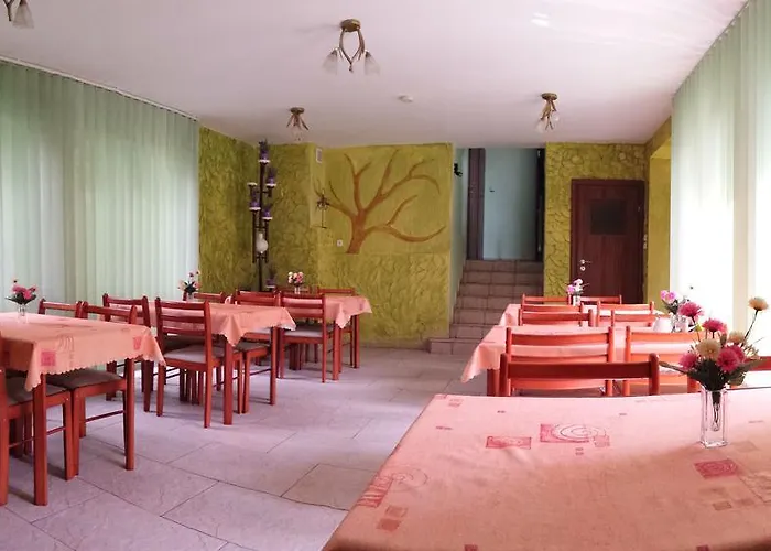 Bed & Breakfast Goscinne Akacja